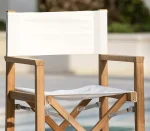 LC002 Miami-Director Chair